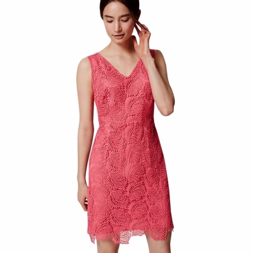 NWT  Loft Coral Lace Dress Sz10
Pit to pit: 19.5
Dress length: 38